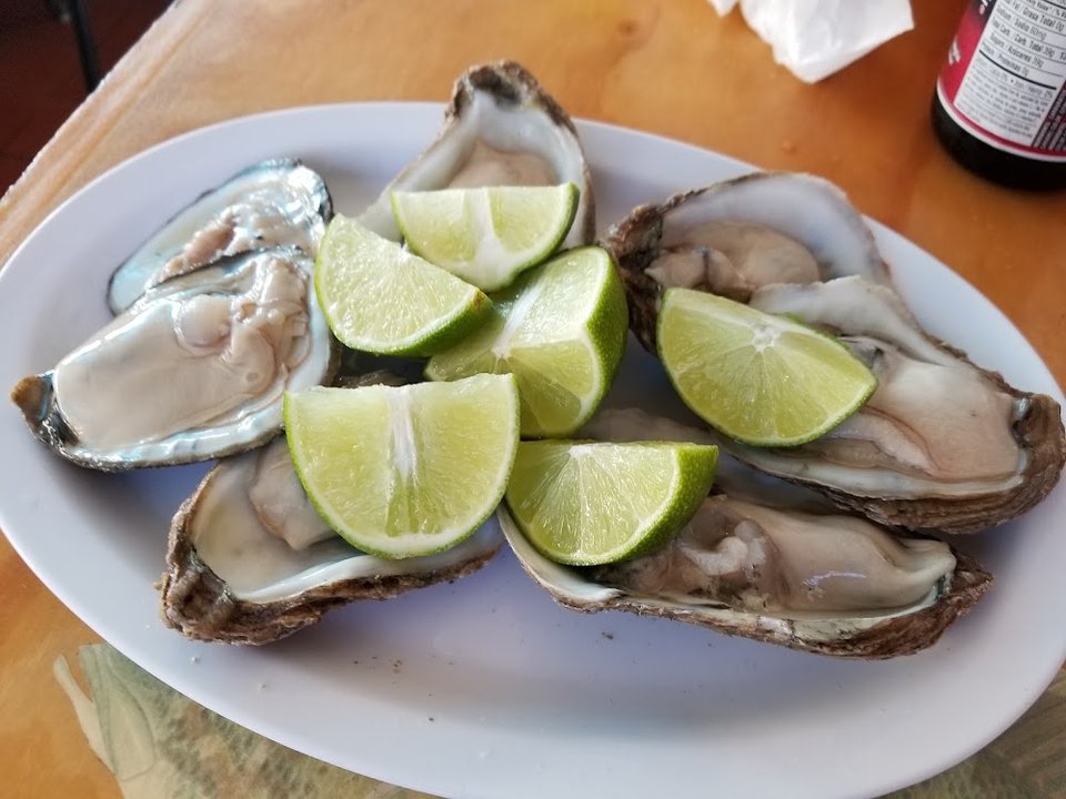 Oysters on the Half Shell